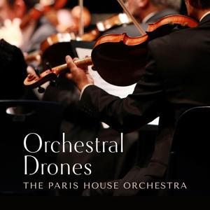 亚洲无码Av强小穴
